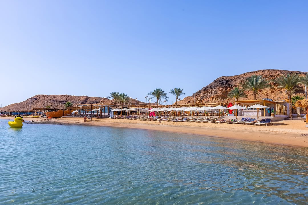 RESERVE YOUR SUNBED